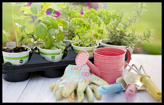 Herramientas y materiales para cultivo de plantas www.abonosfertilizantesyplantas.com