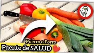 Por qué deberías CULTIVAR PUERROS (En Casa o en la Huerta) Fuente de Salud by mixim89