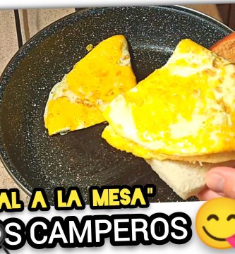 “Del Corral a tu Mesa” La TORTILLA más DELICIOSA con auténticos HUEVOS CAMPEROS by mixim89