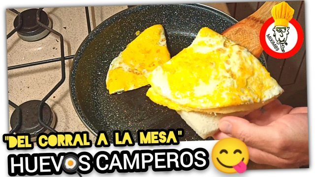 “Del Corral a tu Mesa” La TORTILLA más DELICIOSA con auténticos HUEVOS CAMPEROS by mixim89