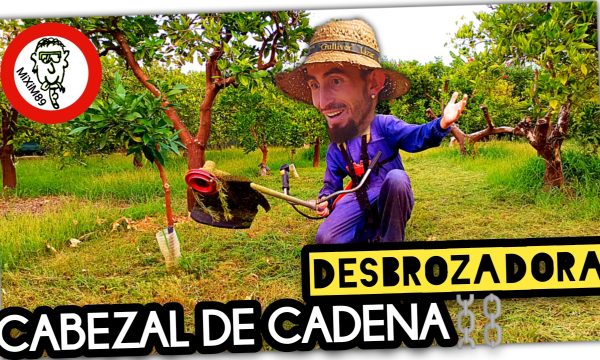 MEJOR CABEZAL de CADENA para DESBROZADORA (Chain Trimmer Head) by mixim89
