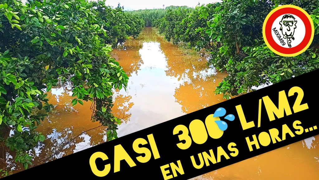 Lluvias Torrenciales, Barrancos Sin Limpiar, Campos a Rebosar (Consecuencias de la DANA o Gota Fría) by mixim89