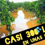 Lluvias Torrenciales, Barrancos Sin Limpiar, Campos a Rebosar (Consecuencias de la DANA o Gota Fría) by mixim89